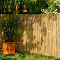 de-commerce bambus zaun schilf sichtschutz calama extra gehaertet hxb 200 x 300 cm balkonsichtschutz gartenzaun sichtschutzzaun fuer garten terrasse balkon